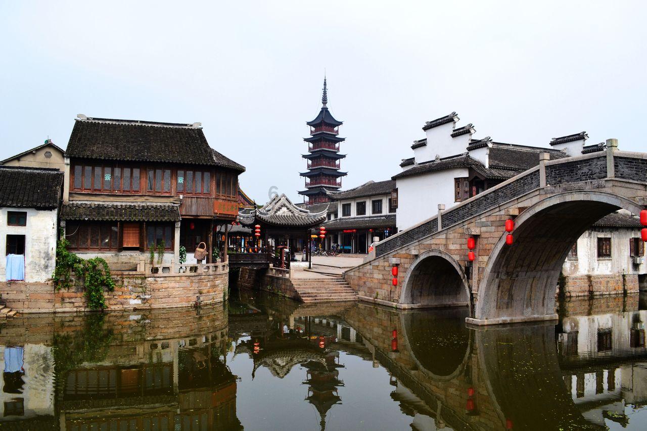 有人说生命在于运动，运动可以健康长寿；可是乌龟却以静著称，寿命却长于许多热爱运动的动物。如何解释游戏画面